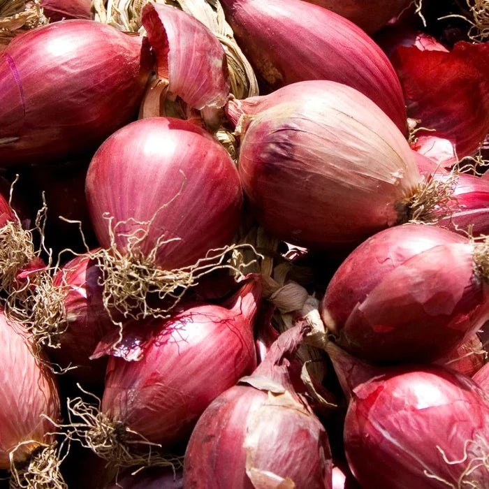 Red Onion per Kg