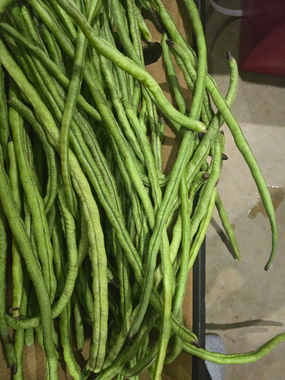 Snake Beans