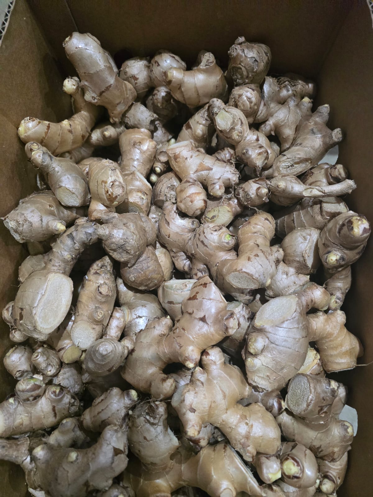 Fresh Ginger per Kg